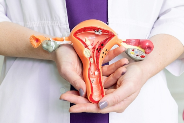 Bệnh âm đạo thường gặp: nhận biết nhóm vấn đề và tránh nhầm cơ quan