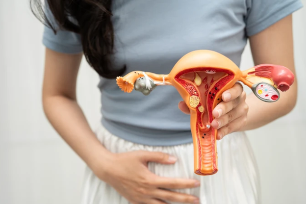 Áp xe tuyến Bartholin: nhận biết khối sưng đau và khi nào cần khám